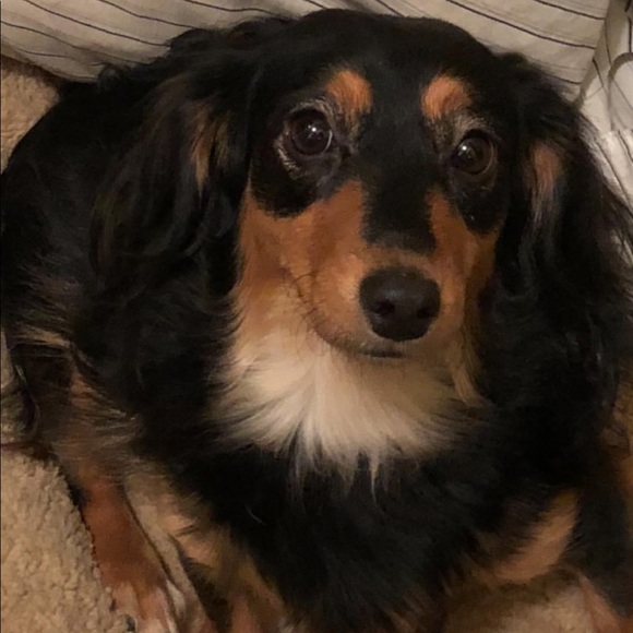 Meet your Posher, Cintya - Picture 1 of 1